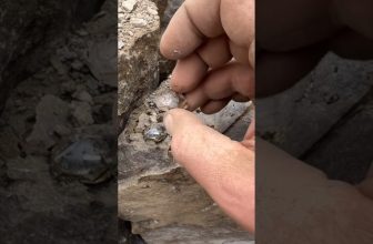 “Agate Stone Found & | Valuable Rock That Pays Big!” #youtubeshorts #naturalamethyst #gemstones