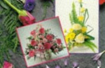 Practical Floristry: The Interflora Trai…, Interflora