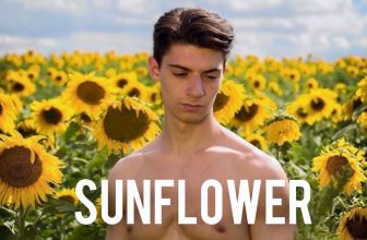 Sunflower (2023) by Gabriel Carrubba