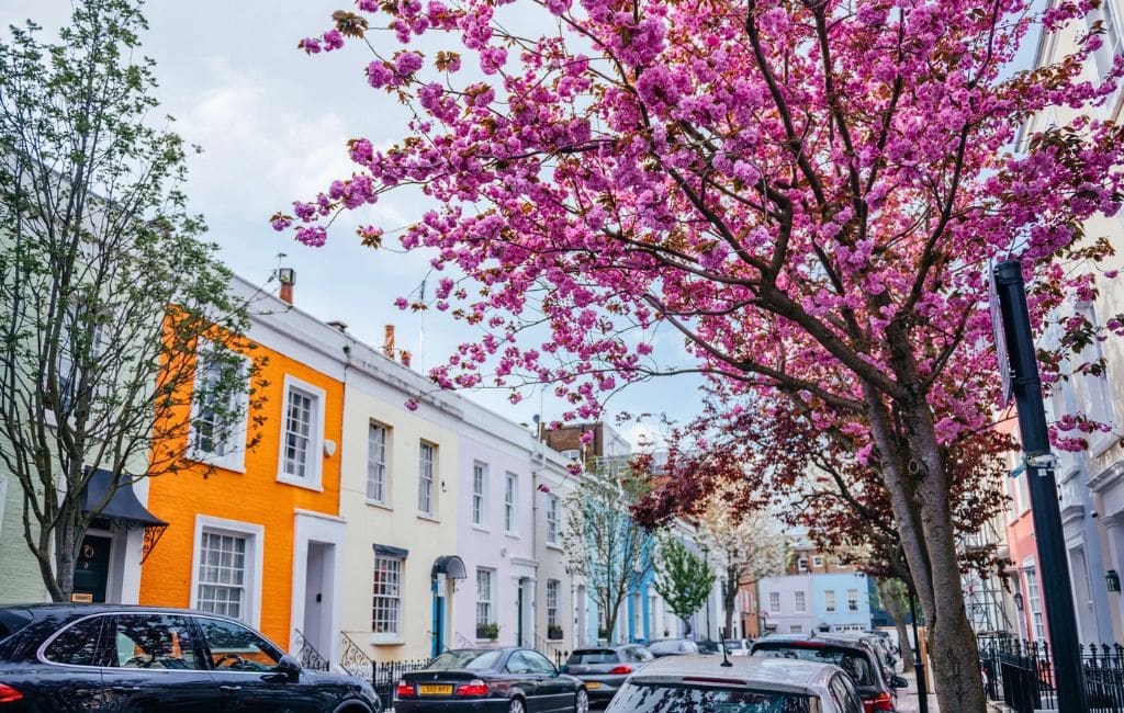 London Cherry Blossoms: Deposit Photos