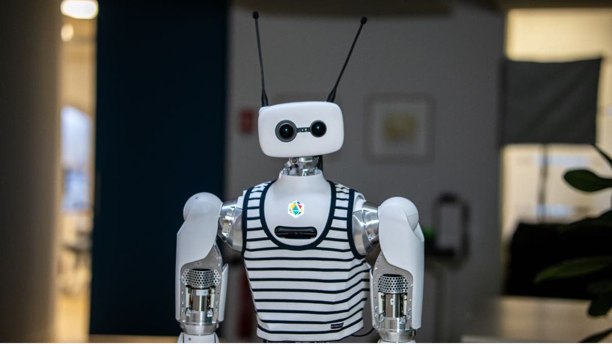 reachy the robot 2