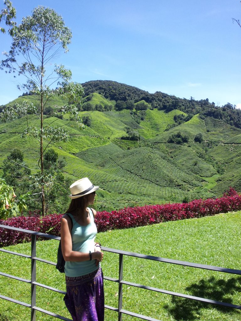 Me in the tea plantations of the Cameron Highlands