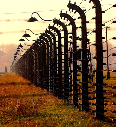 Birkenau November 2015