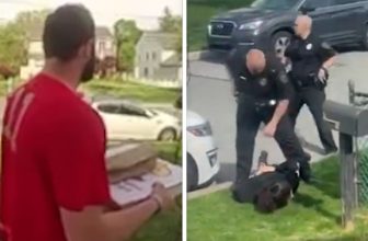 See pizza delivery guy take out suspect fleeing police