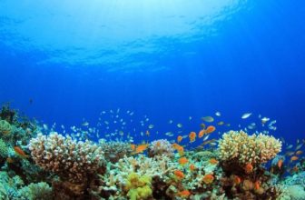 OceanQuest launched in Saudi Arabia to lead global deep-sea exploration and marine innovation