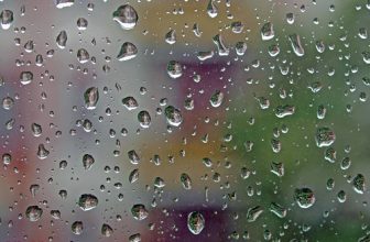 “Macro Monday” Relaxation, German Song: Rains dripping at your window, That you note: they are a greeting from me …