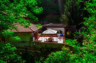 The house in the woods