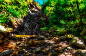 Little waterfall in the woods