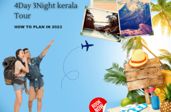 How to Plan a 4 Days 3Night Kerala Tour in 2023 with ease – Paradise Holidays