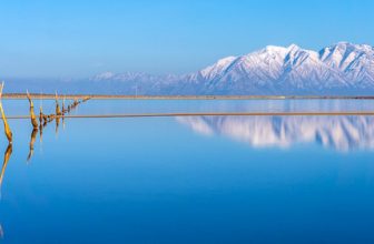 Afternoon Reflections