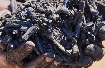 What Is Biochar, and Is It Really Good for the Garden?