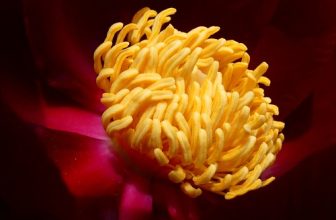 As we express our gratitude, we must never forget that the highest appreciation is not to utter words….