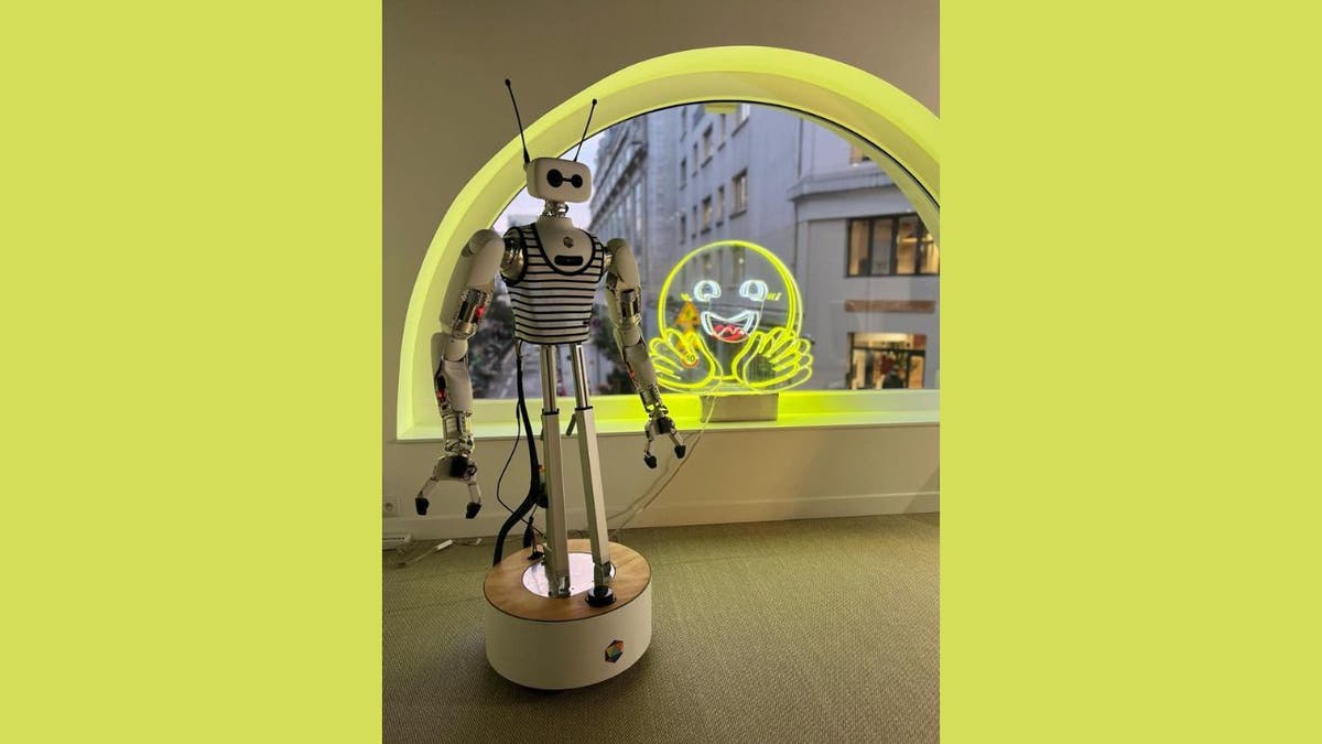 reachy the robot 5
