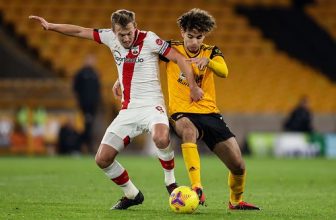 Nhận định Southampton vs Wolves 19h00 ngày 14/02/2021
