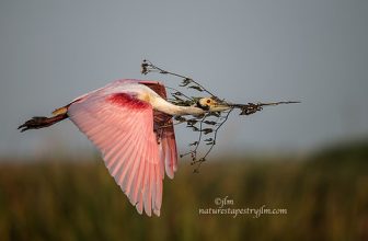 Prep[aring For The Future !!!!!!!!!!