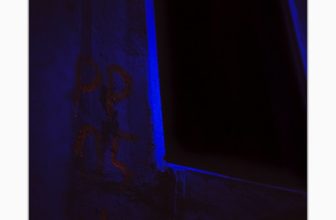 German Re-Union (II)