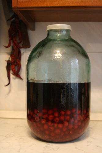 Homemade Cherry Vodka