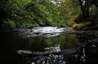 Derwent Walk Country Park, River Derwent, Gateshead, Tyne & Wear, England.