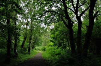 Derwent Walk Country Park, Gateshead, Tyne & Wear, England.