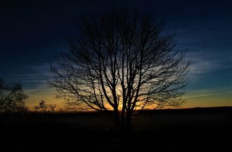 Twilight, Mill Lane, Winlaton Mill, Tyne & Wear, England.