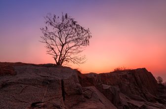 Tree of Sighs [Explore Mar 1, 2023 #172]
