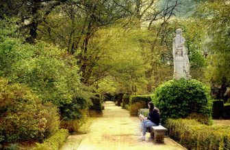 Lecturas de botánica