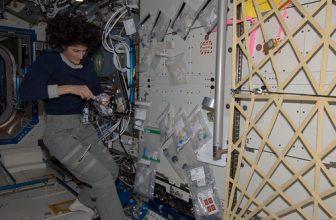 NASA Astronaut Sunita Williams