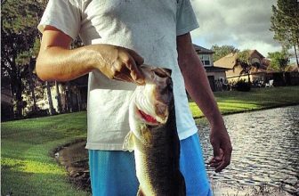 Nice solid bass caught by @hunterdean1080 #bass #bassfishing #boat #boating #fish #fishing #outdoors #nature #fun #clouds #sky #pond #lake #river #rod #reel #baitcaster #shimano #water #awesome #coolpics #adventure #nice #freshwater #saltwater @hunterdean