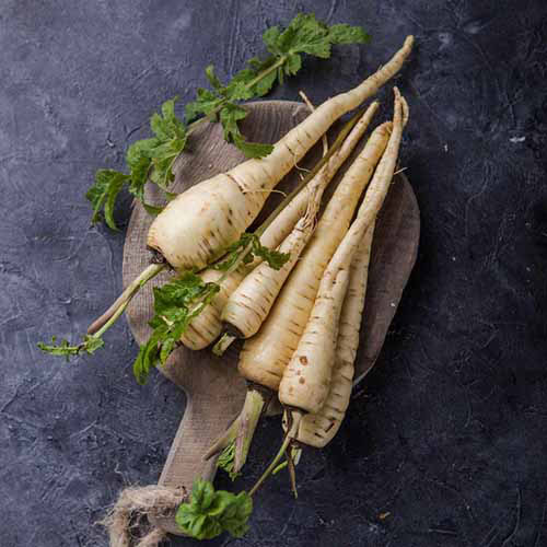 A square image of fresh 'All-American' parsnips on a wooden chopping board on a dark gray surface.