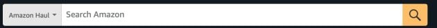 Amazon Haul website search bar