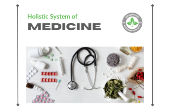 Holistic System of Medicine | Bradford Wellness Co.