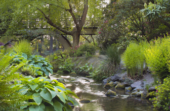 50 Quotes to Help You Feel More Calm and Peaceful – Cathy Taughinbaugh