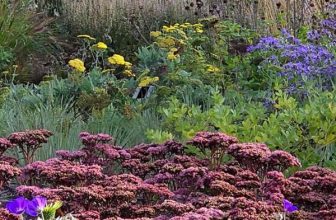 5 lessons in planting style from the new Oudolf borders at RHS Wisley – The Middle-Sized Garden