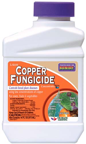 A close up of the packaging of a plastic bottle of Bonide Copper Fungicide for treating plant diseases.