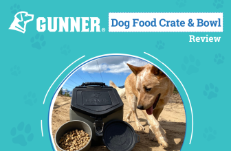 The Best Way to Road Trip with Your Pup – Dogster