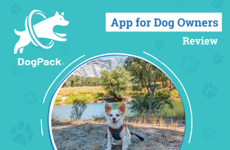 The Ultimate Tool for Fido’s Adventures – Dogster