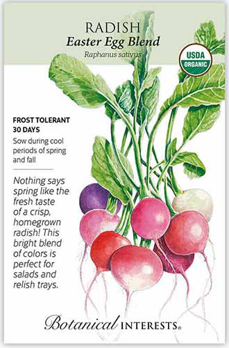 A close up of a packet of Easter Egg Blend radish seeds.