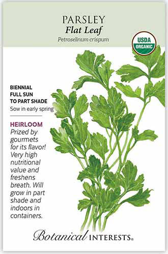 A close up of a packet of flat-leaf parsley seeds with text to the left of the frame and a hand-drawn illustration to the right.