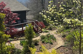 The Light of Spring After a Dark Fall and Winter in North Carolina, Part 1