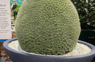 GPOD on the Road: Philadelphia Flower Show’s Oddest Plants