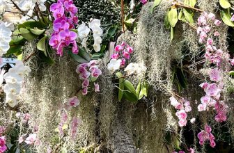 GPOD on the Road: United States Botanic Garden in D.C.