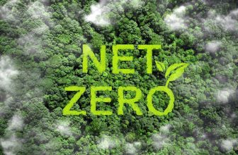 Navigating Net-Zero Investing Benchmarks, Incentives, and Time Horizons