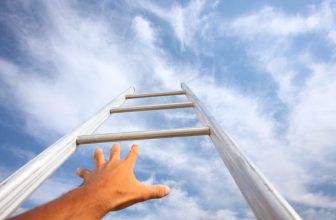 Are Institutional Investors Meeting Their Goals? Spotlight on Earnings Objectives