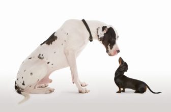 Small Caps vs. Large Caps: The Cycle That’s About to Turn