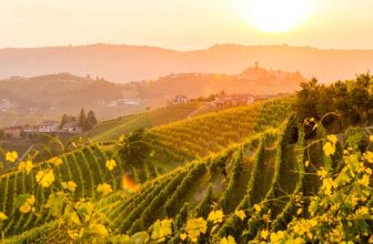 Andrew Jefford: ‘Listen to the best teacher in the world: nature’