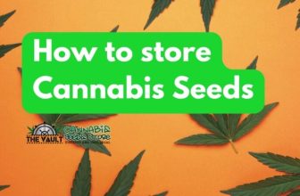 How To Store Cannabis Seeds!