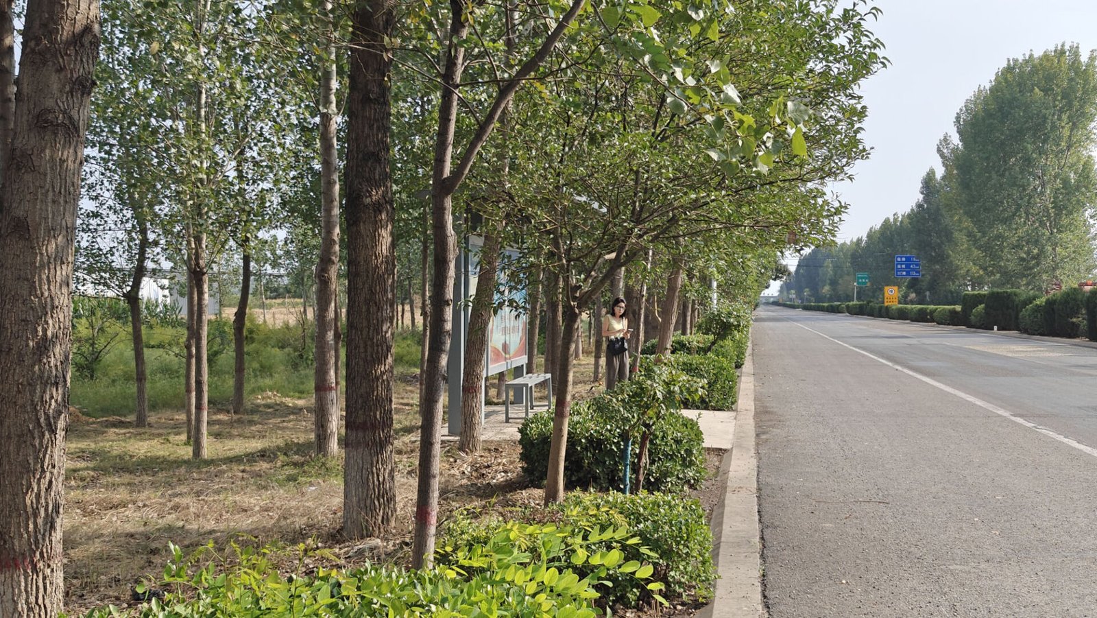 Lee Family Courtyard, Shanxi