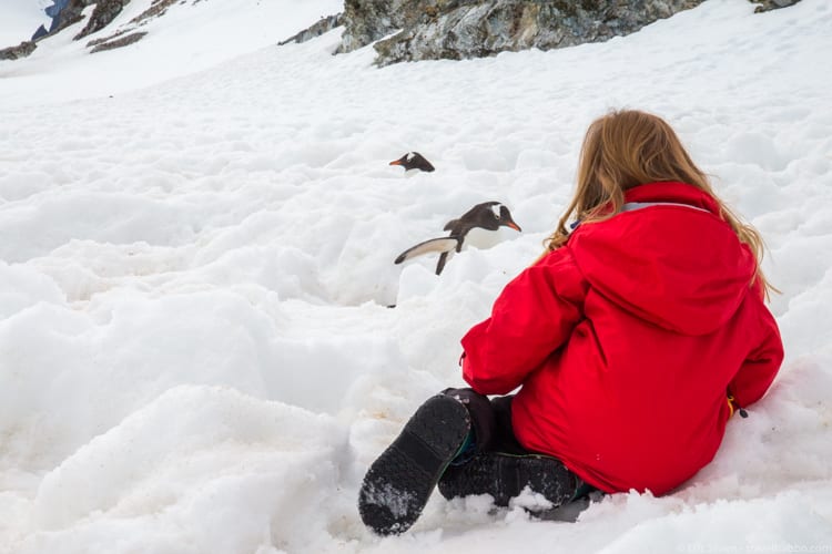 Antarctica with Kids: Watching Gentoo penguins waddle by