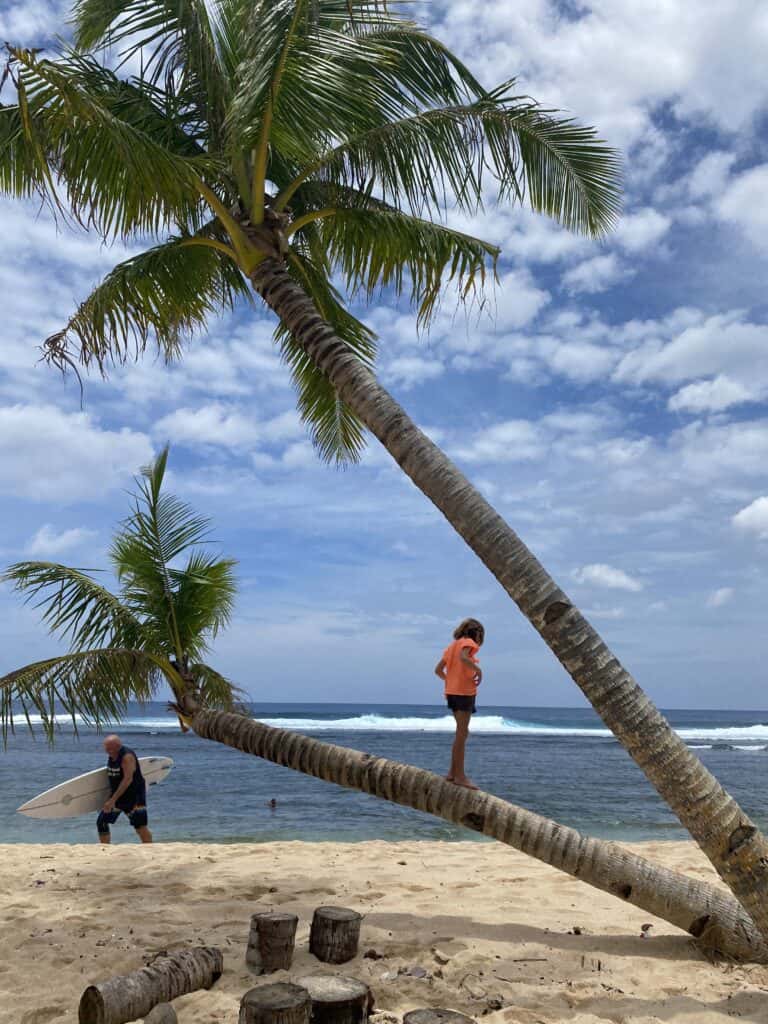 climbing a tree on the beaches in Siargao 