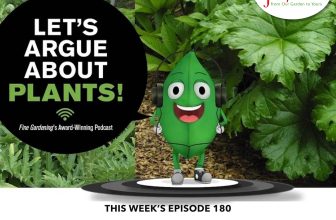 Episode 180: Plants with Big, Bold Foliage 